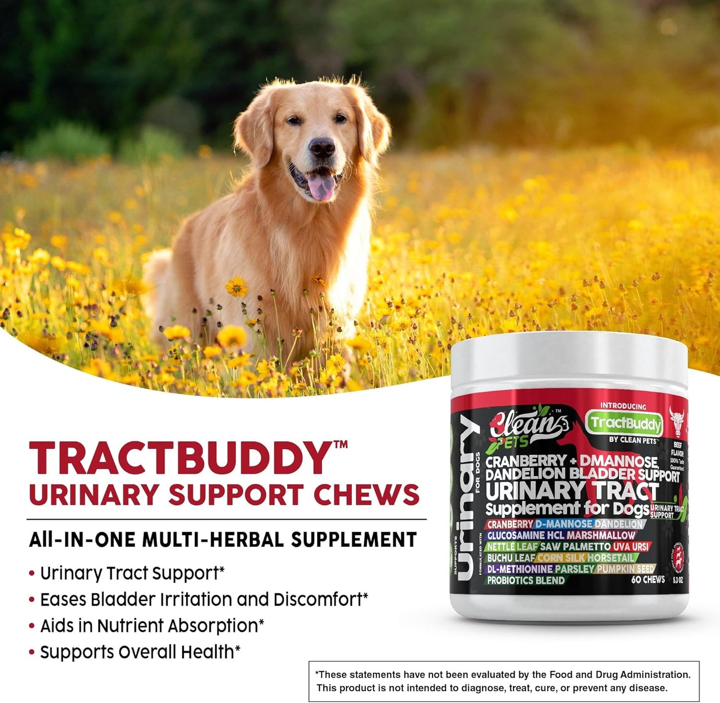 Urinary Tract Chews