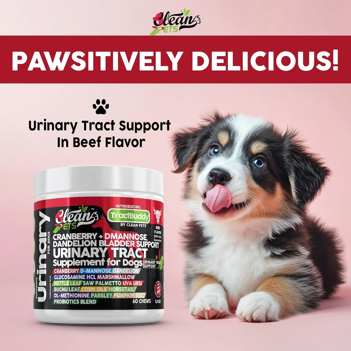 Urinary Tract Chews