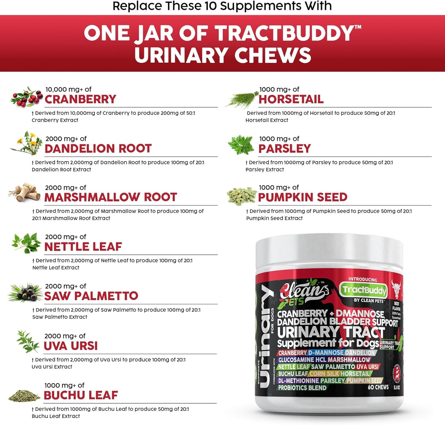 Urinary Tract Chews