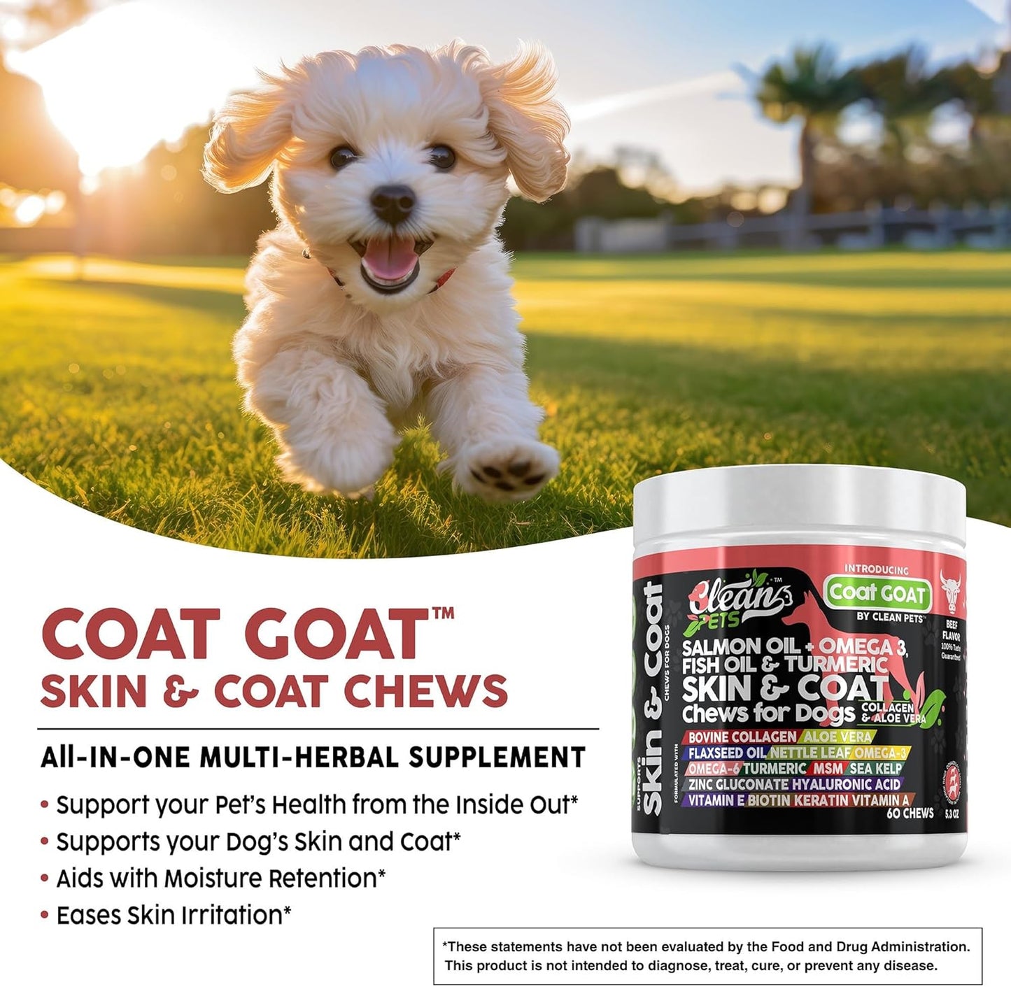 Skin & Coat Chew