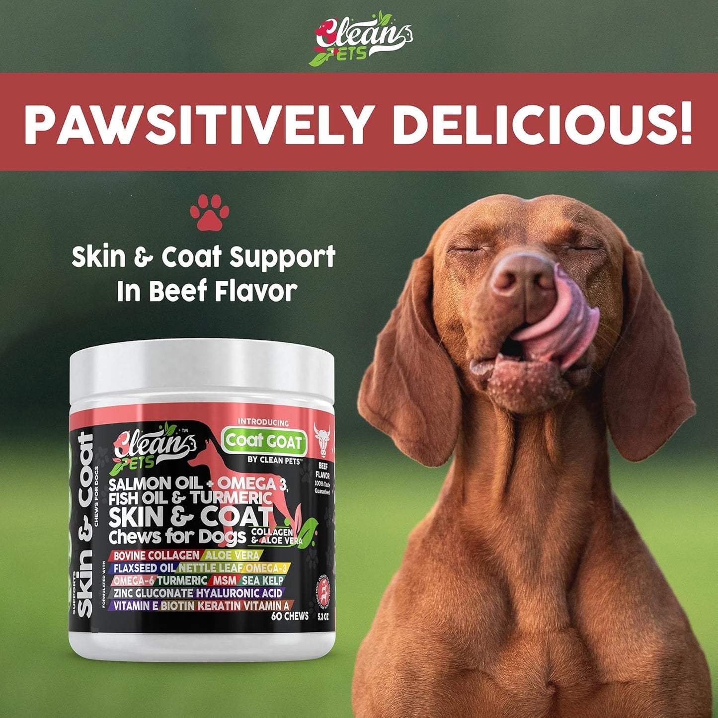 Skin & Coat Chew