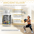 Ancient Elixir - Shilajit