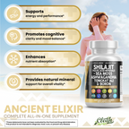 Ancient Elixir - Shilajit