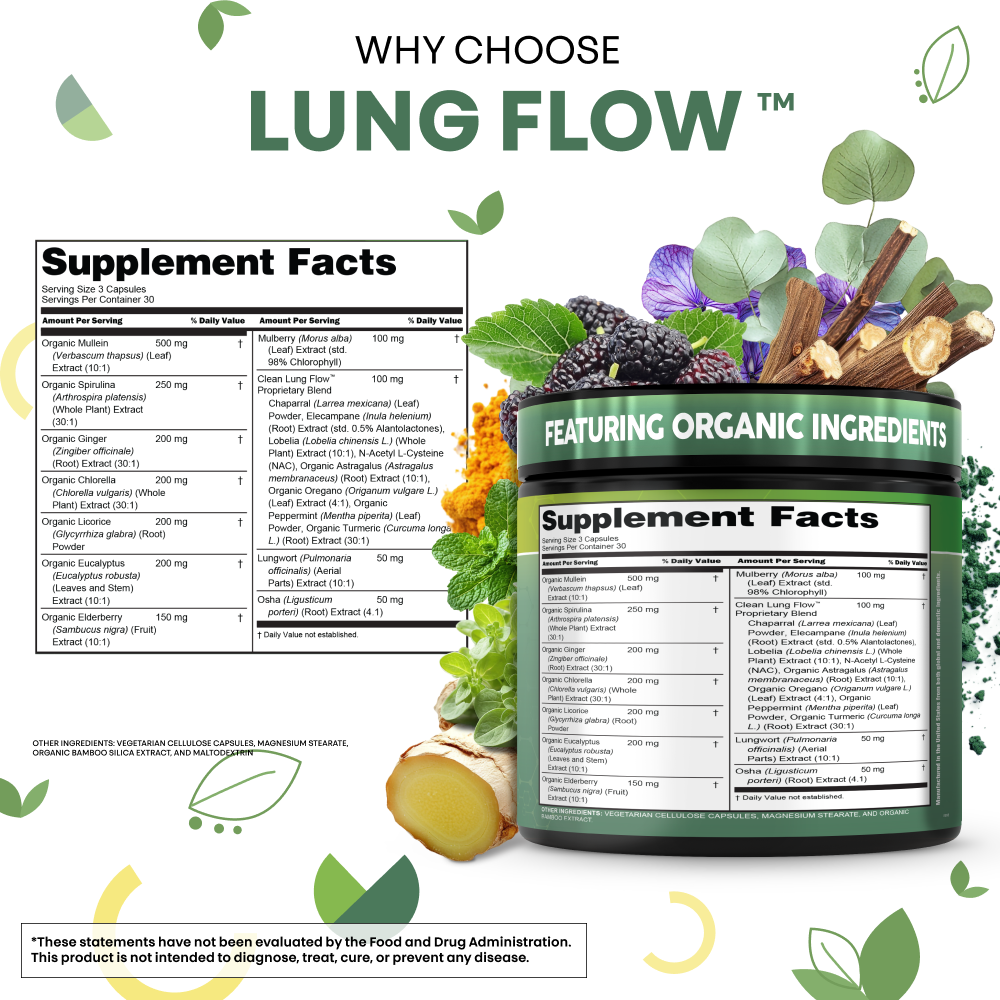 Lung Flow