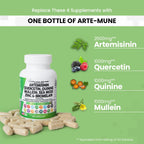 Arte-Mune™ Supplement