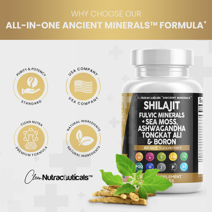 Clean Nutraceuticals Shilajit Supplement 10,000mg with Sea Moss 6000mg, Ashwagandha 6000mg, Tongkat Ali, Boron, Magnesium - Fulvic Acid Capsules for Men - 90 Count