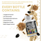 Ancient Elixir - Shilajit