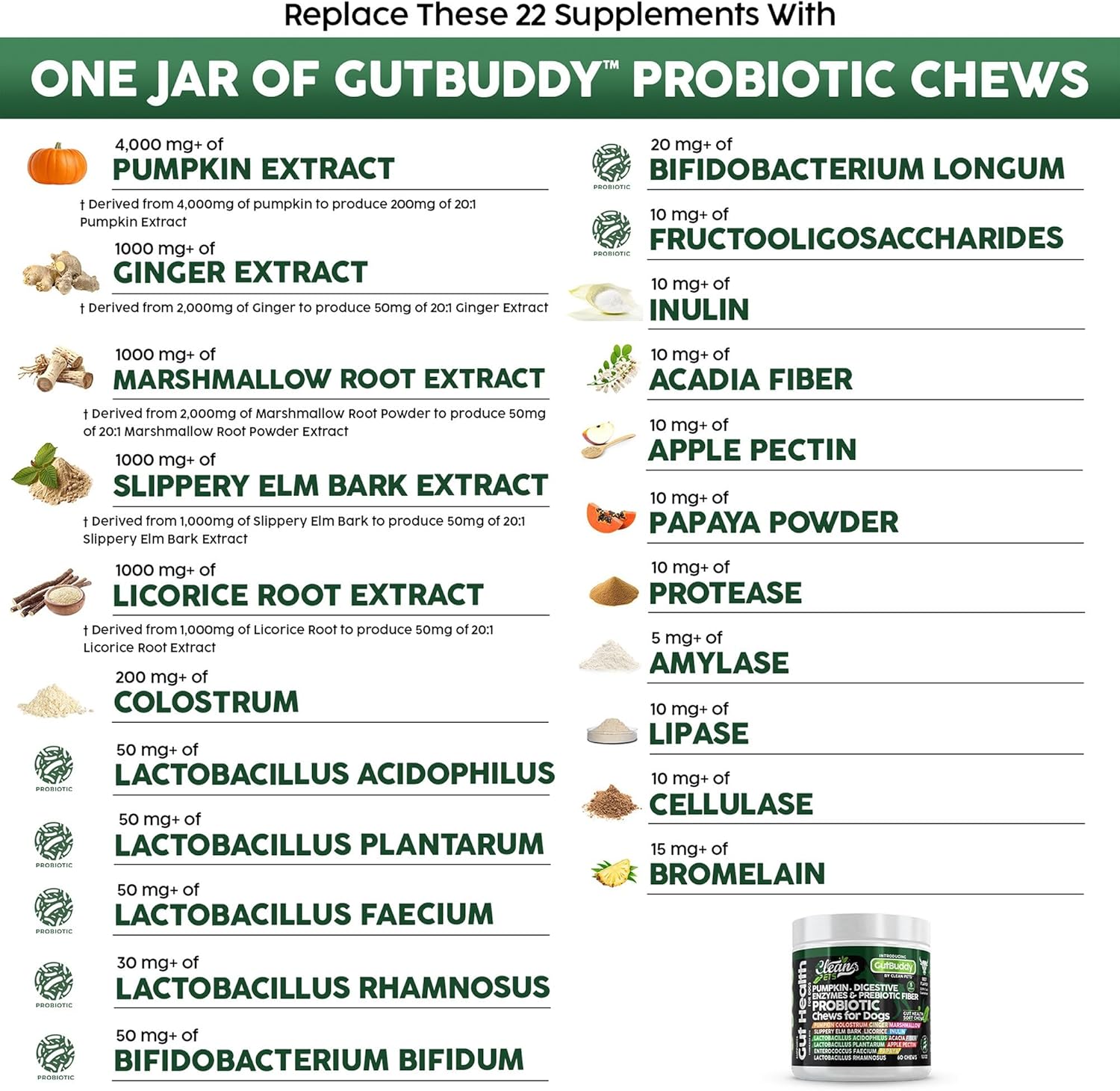 Gut Health Probiotic