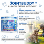 Joint Buddy