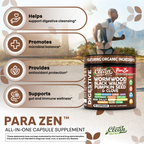 ParaZen