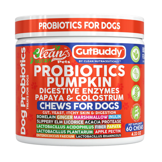 Gut Buddy Probiotic