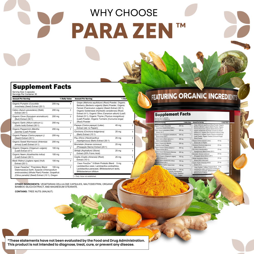 ParaZen