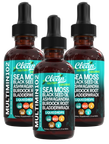 Liquid Sea Moss